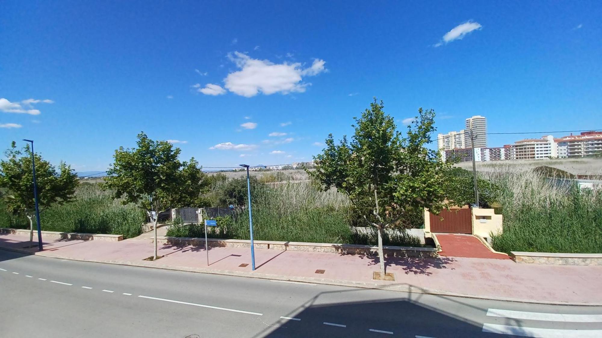 Azahares Vista Parque Orangecosta Leilighet Peñíscola Eksteriør bilde